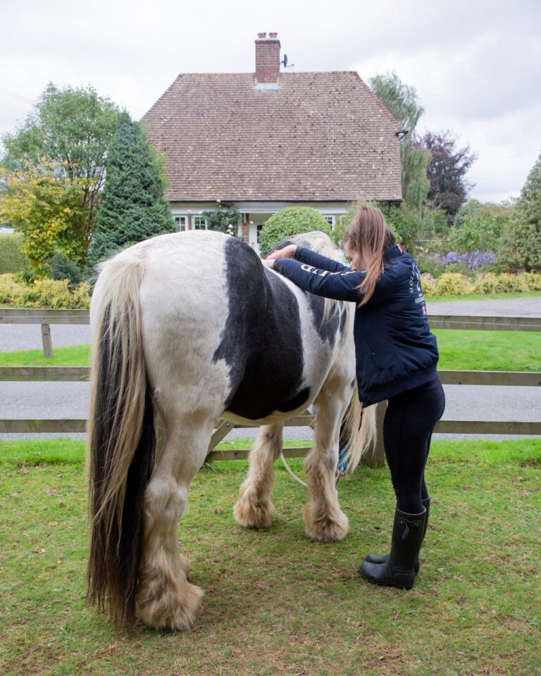 Day In Life Equine Therapist