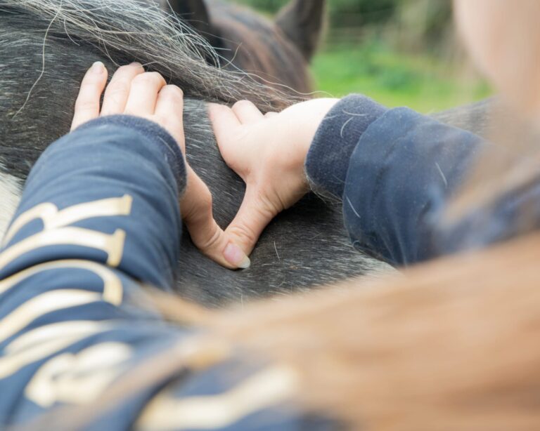 Recognising Signs of Muscle Tension in Horses