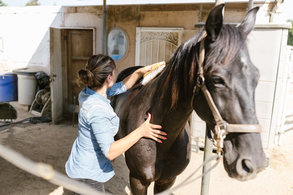 A woman gently brushes a horse in an outdoor stable environment, showcasing equestrian care.