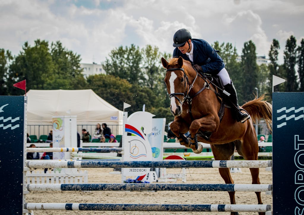 Brown horse and rider navigating an obstacle during a competitive equestrian event.