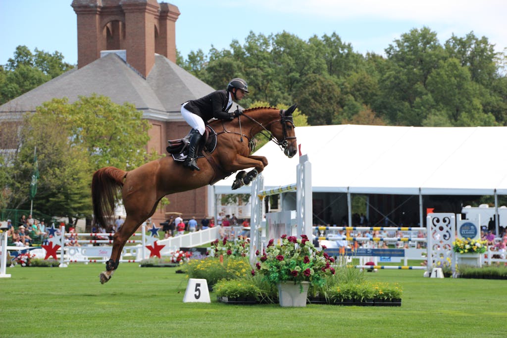 Exciting show jumping event featuring a skilled rider and horse navigating a jump with precision.