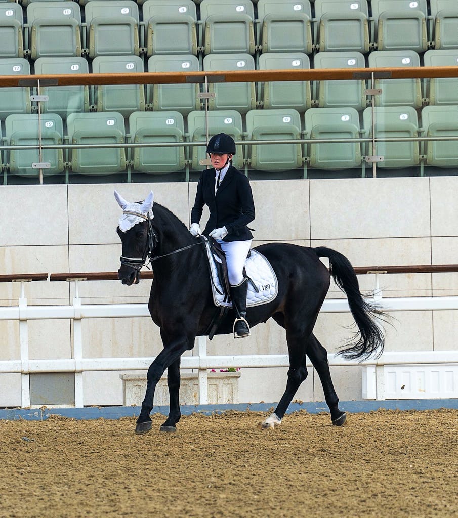 Female equestrian rider performing dressage inside an arena with her horse.