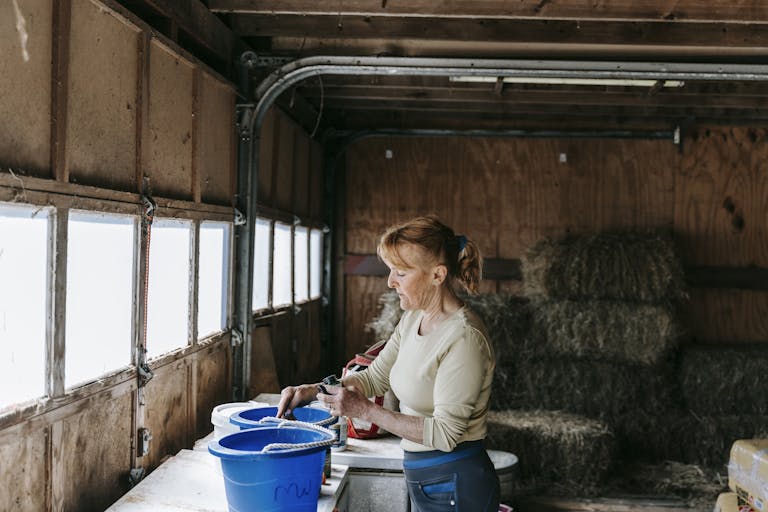 A woman arranging blue buckets in a barn filled with hay bales, standing by a window.