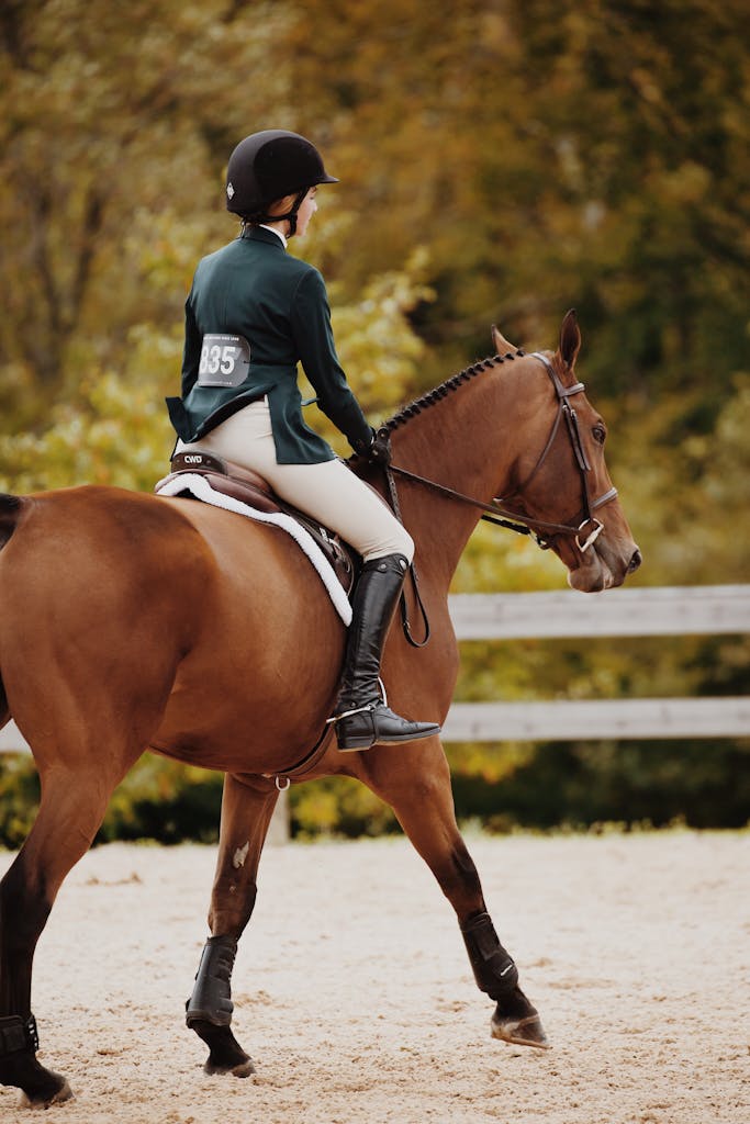 A skilled equestrian rider competes in an outdoor arena on a brown horse during daytime.